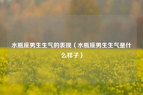 水瓶座男生生气的表现（水瓶座男生生气是什么样子）