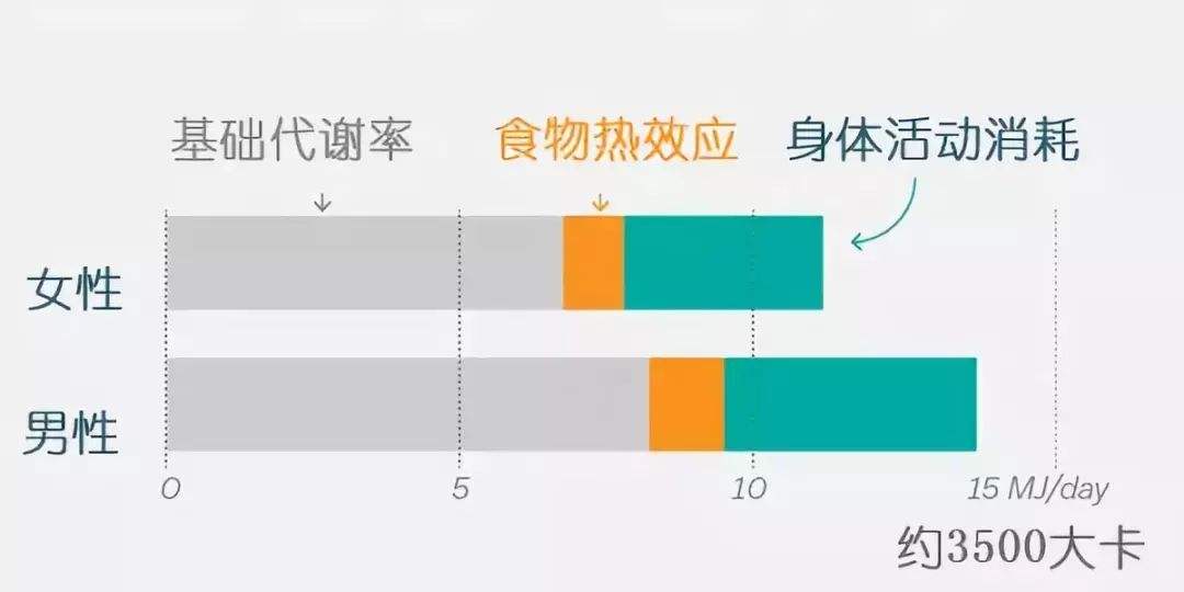 减肥基础代谢 减肥基础代谢越来越低怎么办