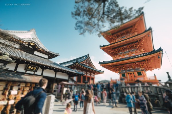 京都旅游景点 京都旅游景点地图