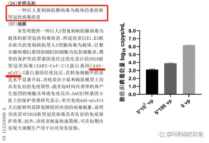 新冠病毒主要名称贝 新冠病毒的名称是什么