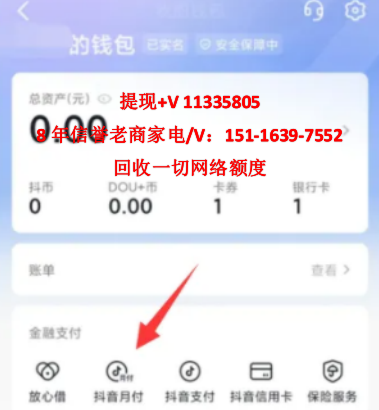 抖音月付额度怎么套出来（N种方式变现仅需半小时）