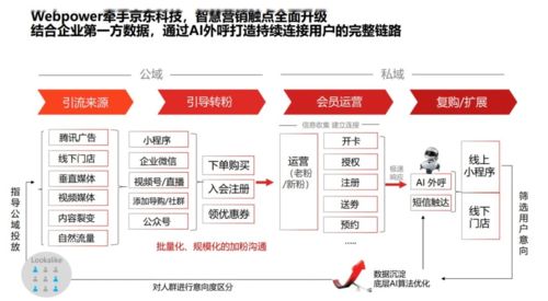 美妆品牌全链路营销策略解析,美妆品牌全链路经营模式分享