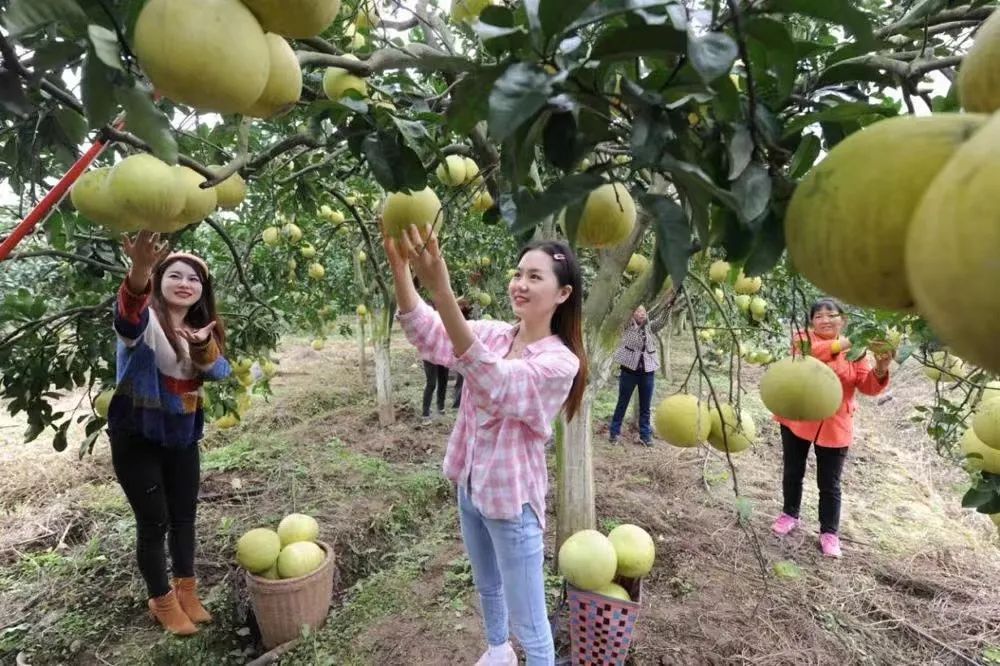 德阳美业兴起，传承美丽，探索自我