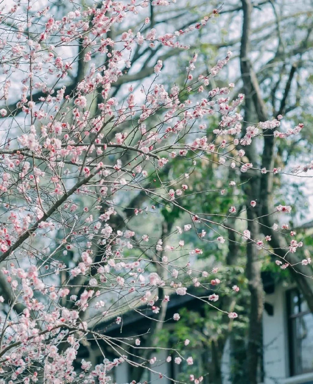 美妆品牌情人节推文 情人节美妆文案