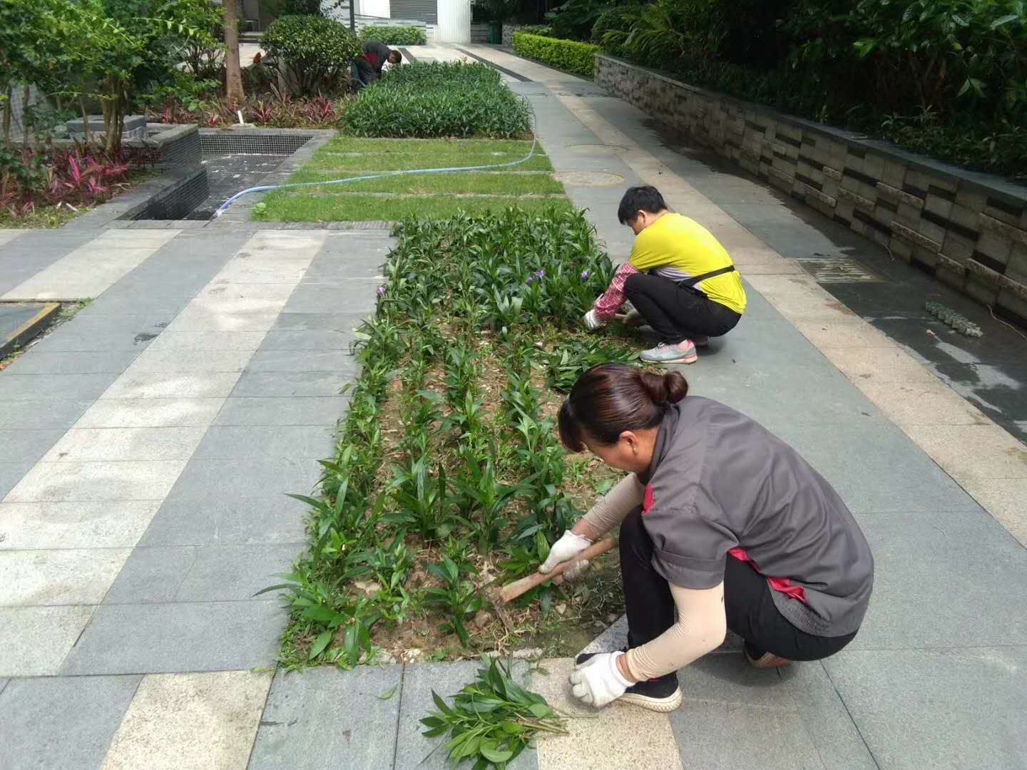 西安金地化妆学，探寻美妆艺术的魅力之旅