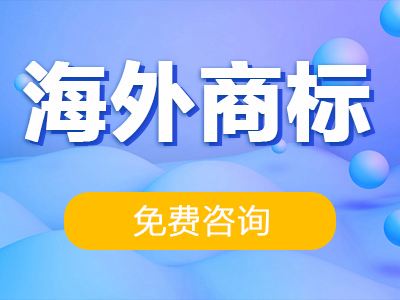 商标注册专业机构 商标注册专业机构是什么