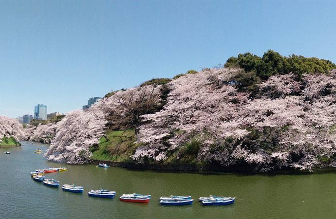 东京旅游景点 东京旅游景点排名