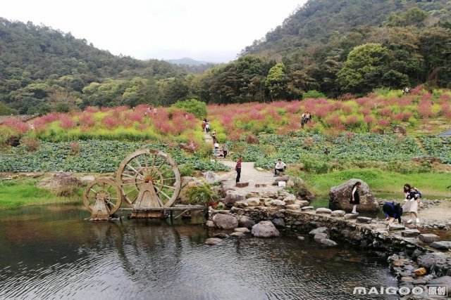 广州周边旅游景点 广州周边旅游景点排行