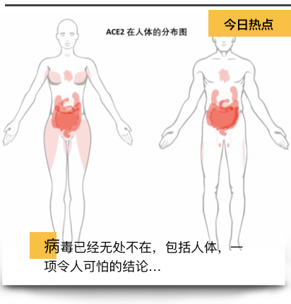 新冠病毒损伤男性性功能 新冠病毒对男性生育的影响