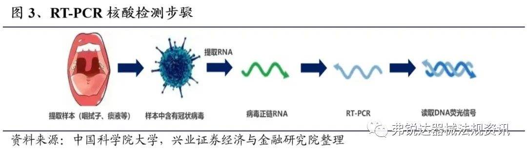 新冠病毒判别 新冠病毒如何判断