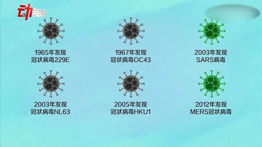 新冠病毒传染过程建模 新冠病毒模型制作与讲解