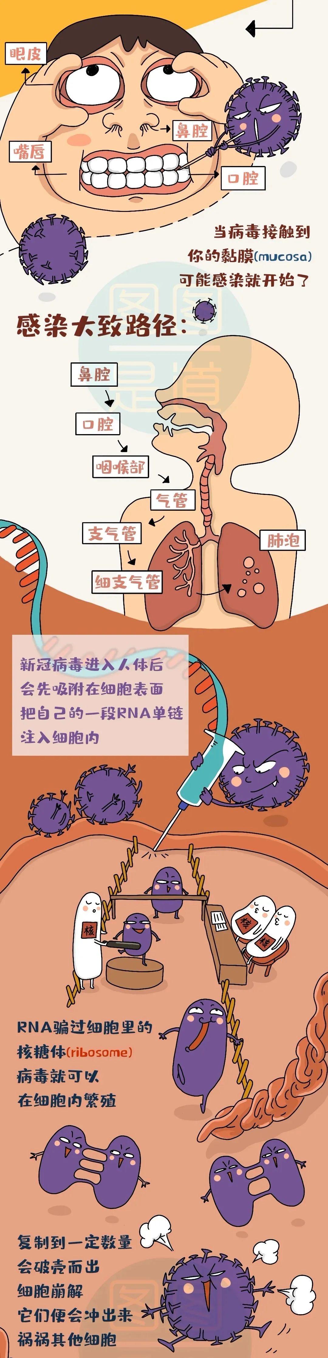 怎么知道自己患有新冠病毒 怎么知道自己有没有得新冠病毒