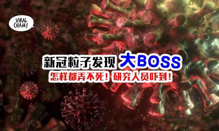 新冠病毒实践作业初中 新冠病毒我们中学生应该怎么做