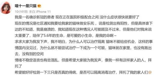 猫咪新冠病毒弱阳性 猫咪新冠病毒弱阳性怎么治疗