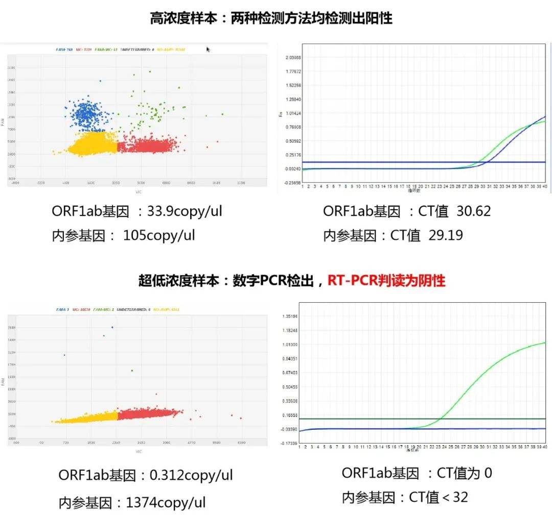 新冠病毒测试剂结果 新冠病毒检测试剂怎么看