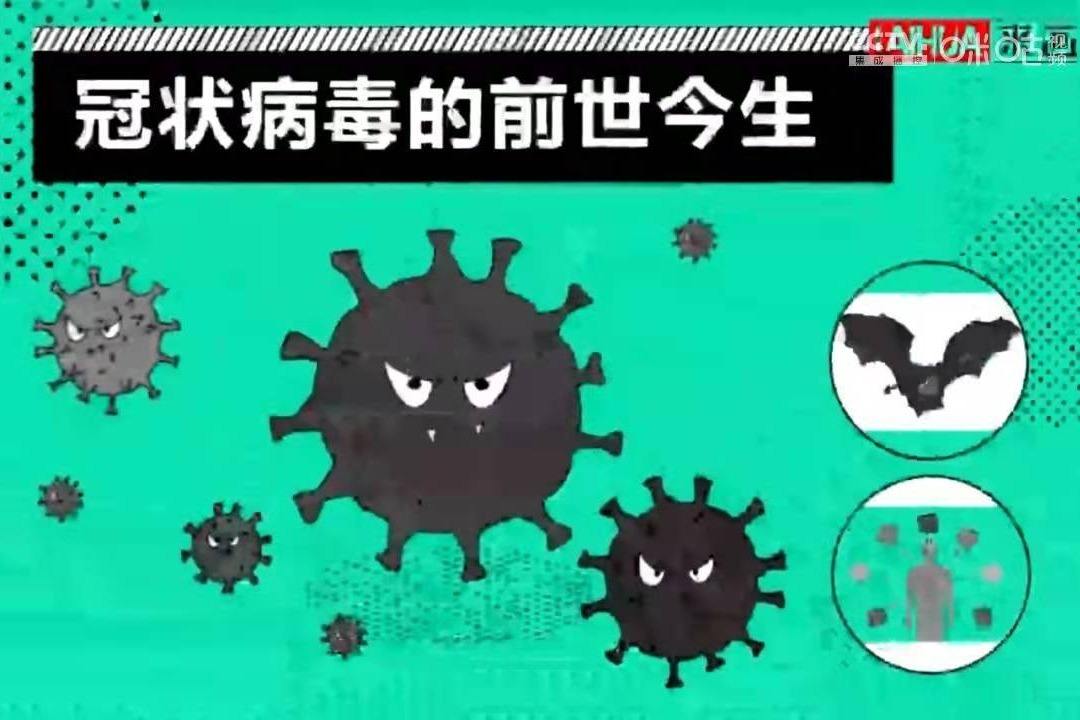 怀孕了打了新冠病毒 打完新冠病毒发现怀孕了