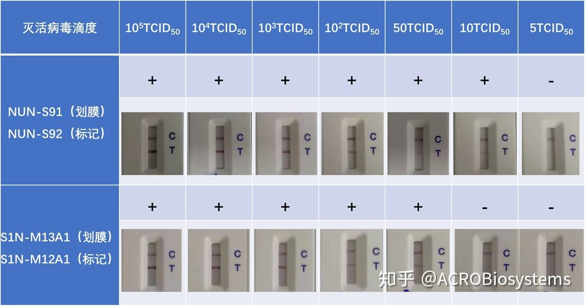 新冠病毒试纸几条杠 新冠病毒试纸几条杠是阴性