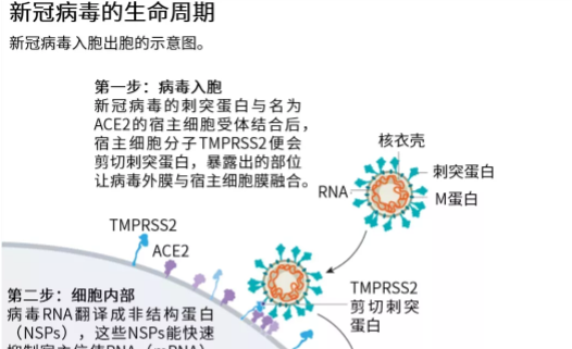 阻止新冠病毒传播的措施 阻止新冠病毒传播的措施有哪些