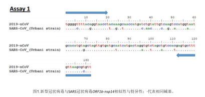 新冠病毒的测序任务 新冠病毒基因测序是什么时候完成的