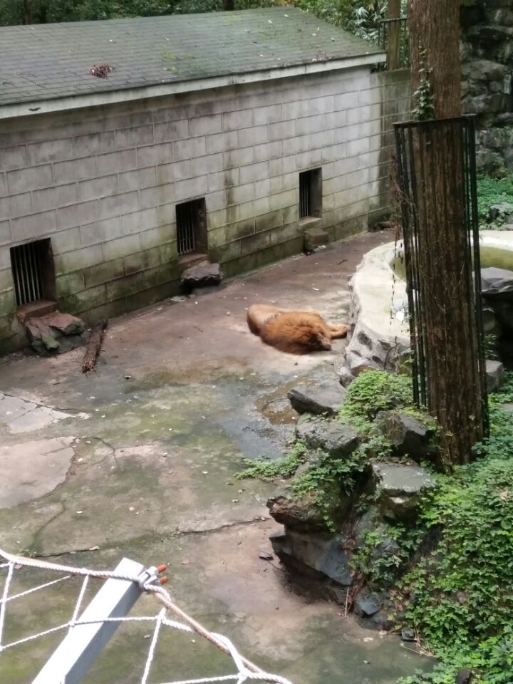 杭州西湖动物园 杭州西湖动物园几点关门