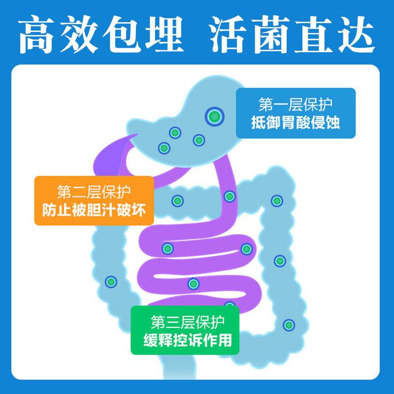 调理肠胃的益生菌 调理肠胃的益生菌有哪些