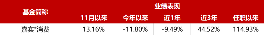 嘉实主题精选分红 嘉实主题新动力混合分红