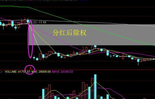 分红股票股价的影响 分红股票股价的影响因素