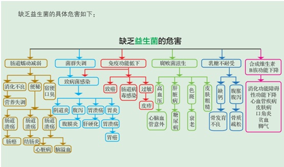 益生菌都有哪些菌种 益生菌有哪些菌种代号