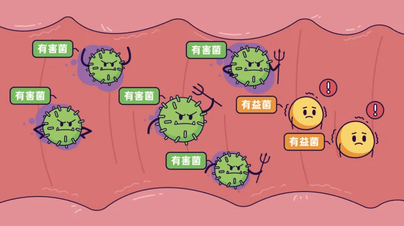 益生菌对肠道的作用 益生菌对肠道的作用视频