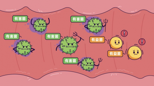 宝宝消化不良能吃益生菌吗 宝宝消化不良能吃益生菌吗一岁