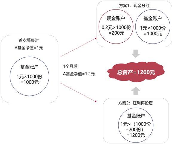 英式分红和美式分红的区别 什么是英式分红什么是美式分红