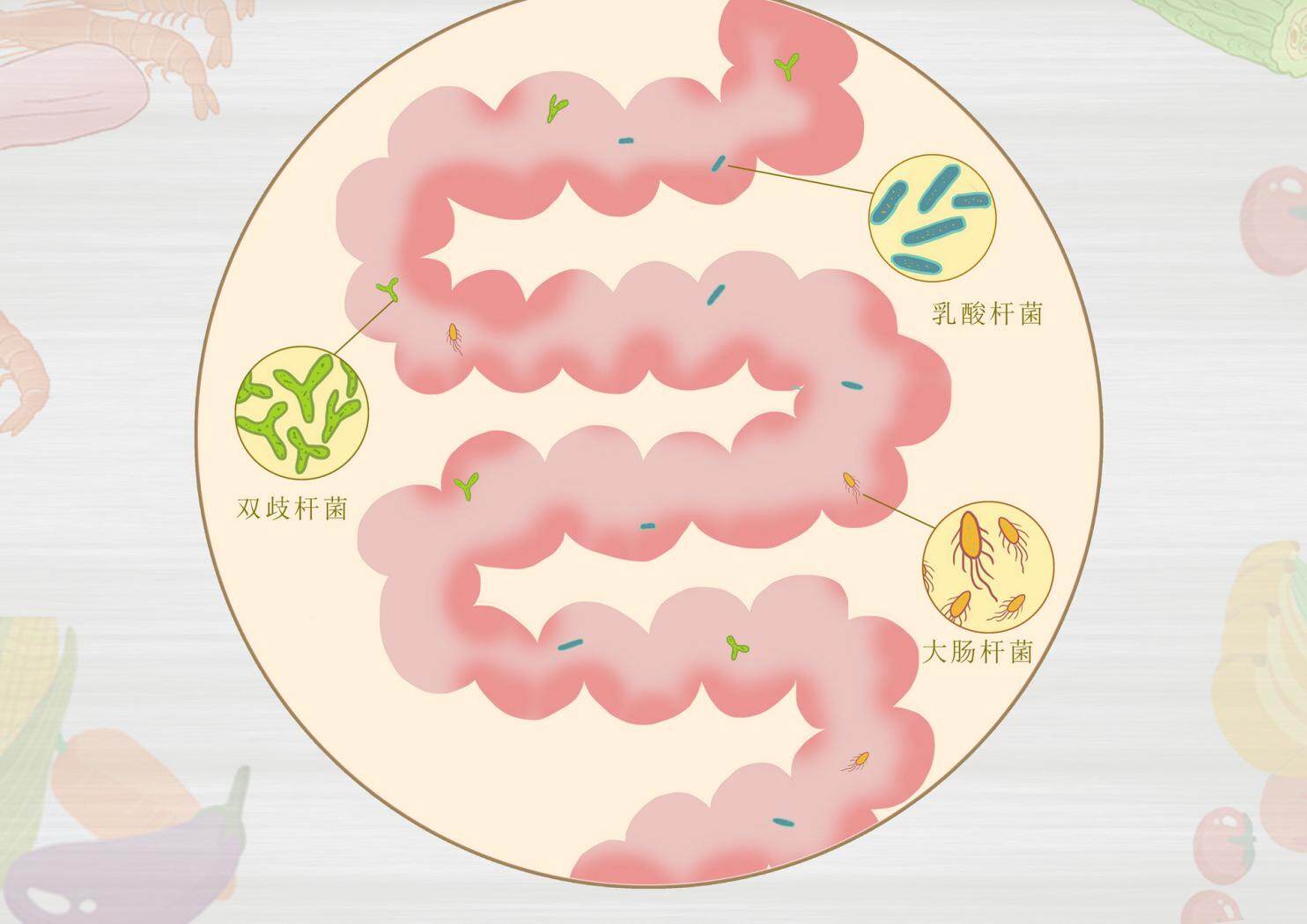 大人吃哪种益生菌好 大人吃哪种益生菌好一点