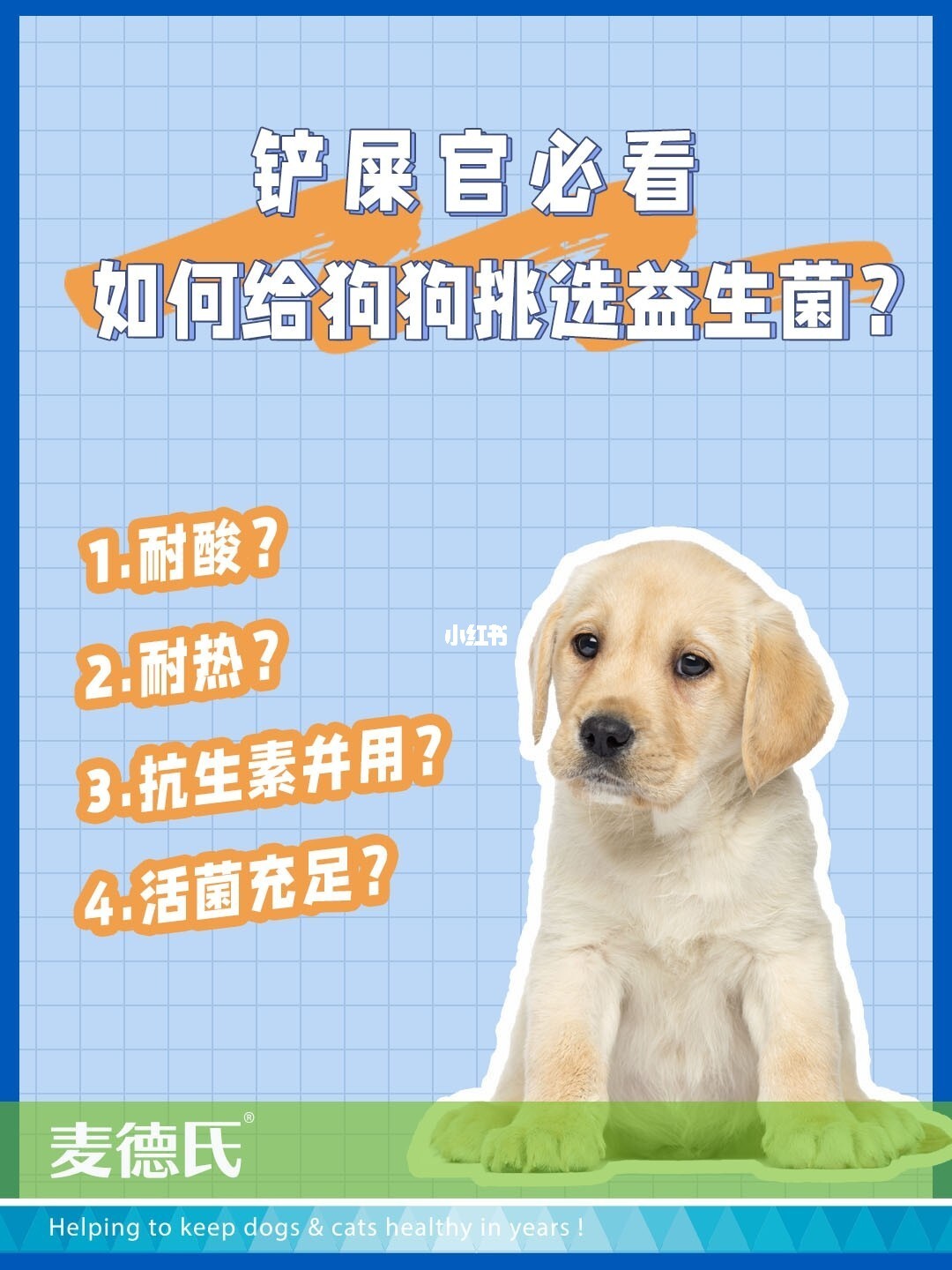 狗能吃人的益生菌吗 狗狗能吃人的益生菌吗?