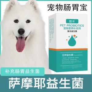 狗能吃人的益生菌吗 狗狗能吃人的益生菌吗?