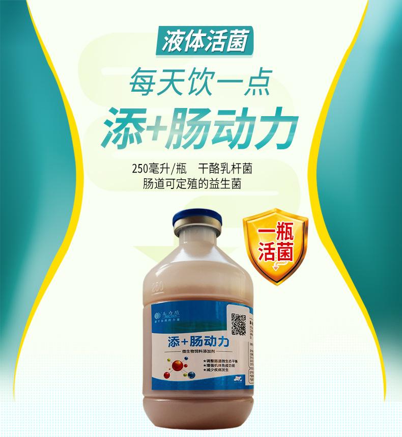 液体益生菌哪个牌子好 益生菌固体饮料哪个牌子比较好