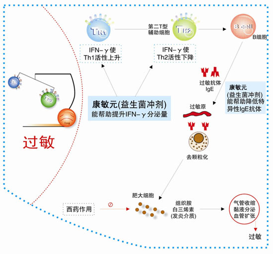 抗过敏益生菌排名 抗过敏益生菌排名前十