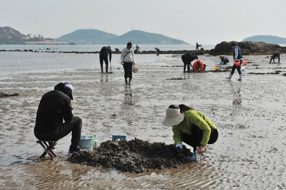 青岛海边国庆去哪赶海 青岛海边国庆去哪赶海最好