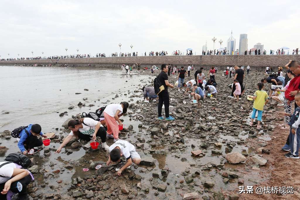 青岛海边国庆去哪赶海 青岛海边国庆去哪赶海最好