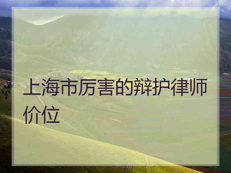 经济犯罪刑事辩护 诈骗犯罪与经济犯罪大要案辩护