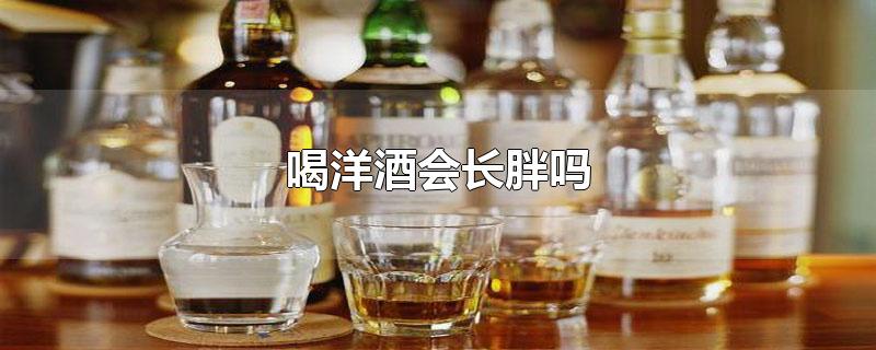 喝白酒会长胖吗 喝啤酒长胖还是喝白酒长胖