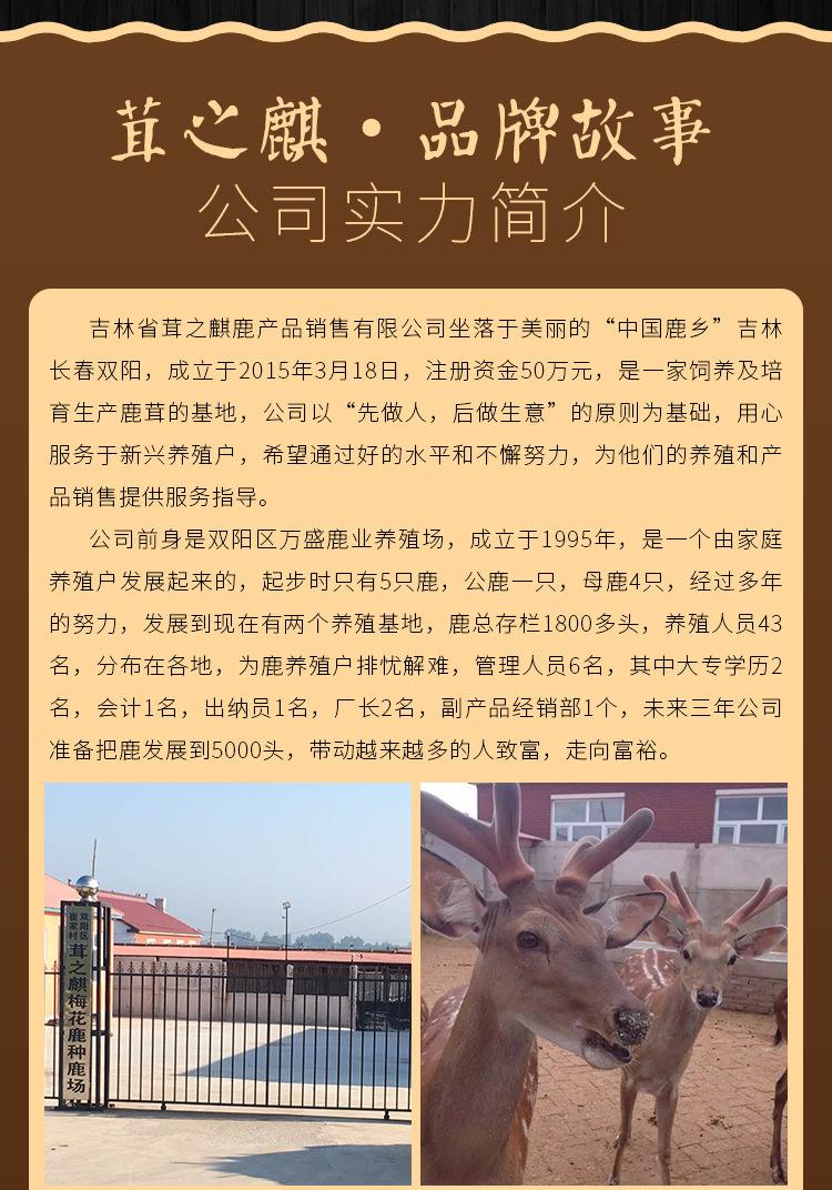 长春鹿乡鹿茸批发市场 长春鹿乡鹿茸批发市场在哪里