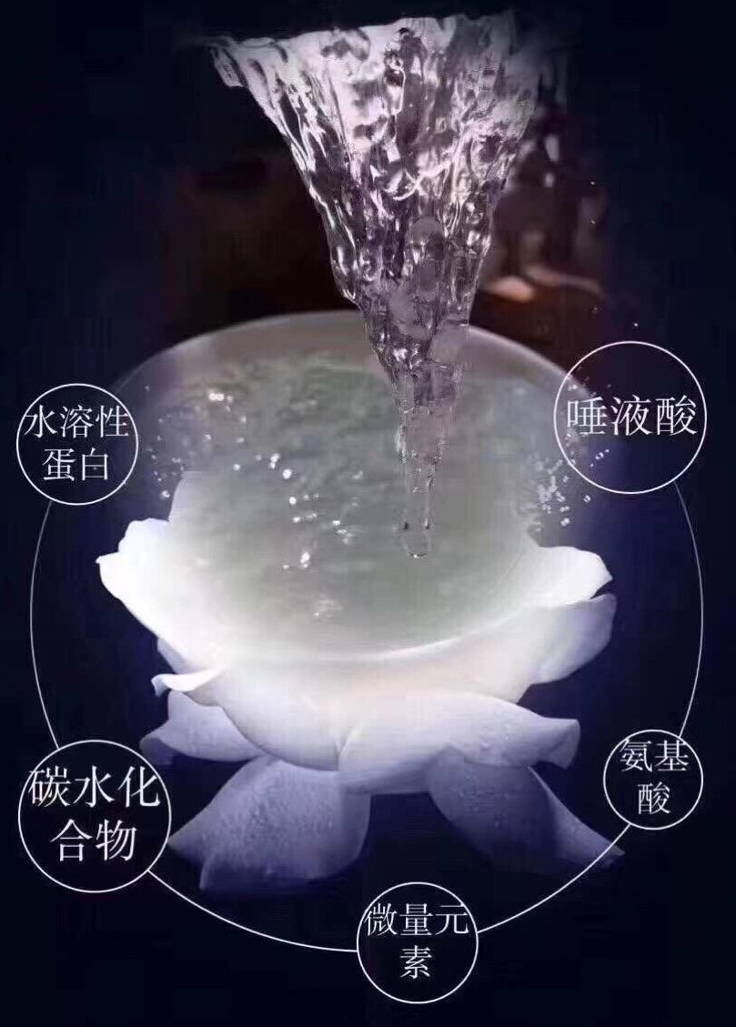 燕窝酸的作用与功效与作用 燕窝酸的作用与功效与作用是什么