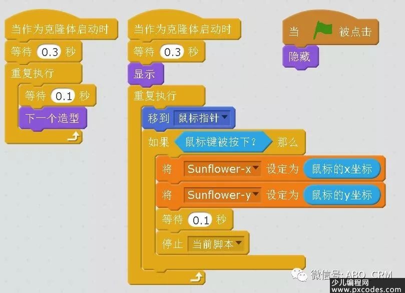 少儿编程公司管理模式 