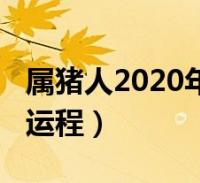 兔年一九年下半年运势 兔年一九年下半年运势怎么样