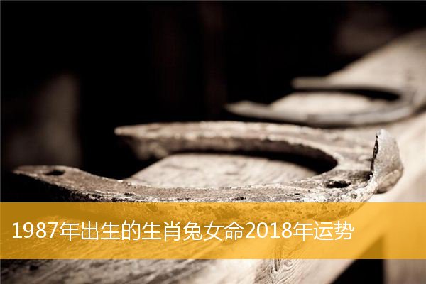 生肖兔财运指数 生肖兔2022年财运