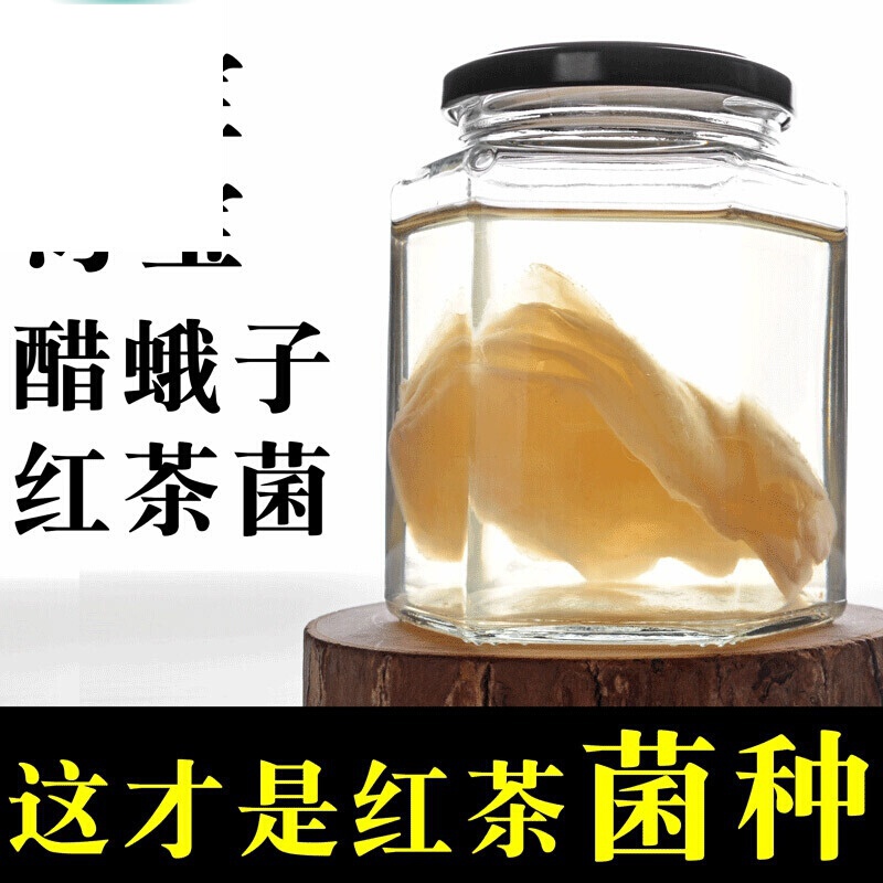 红茶菌保健酒 红茶菌饮用时间