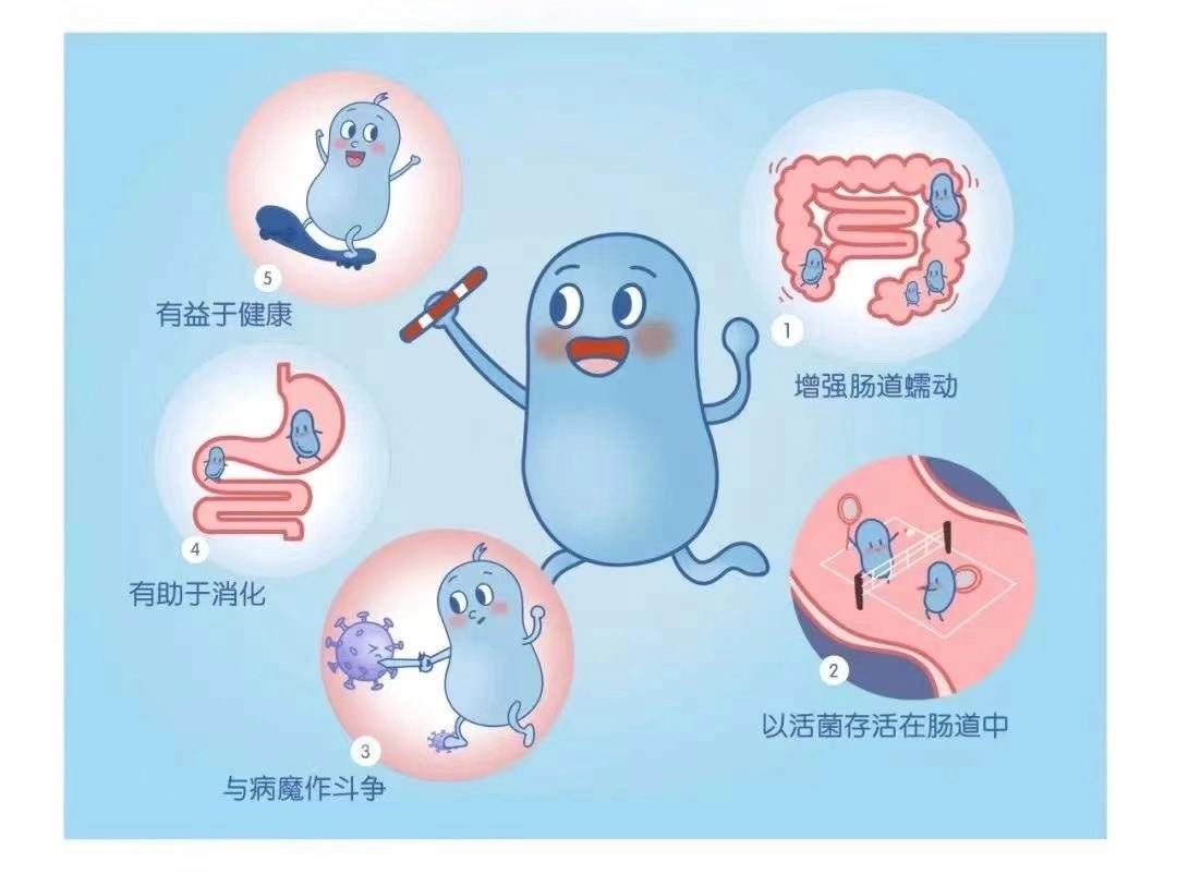 宝宝吃益生菌的作用与功效 7个月宝宝吃益生菌的作用与功效