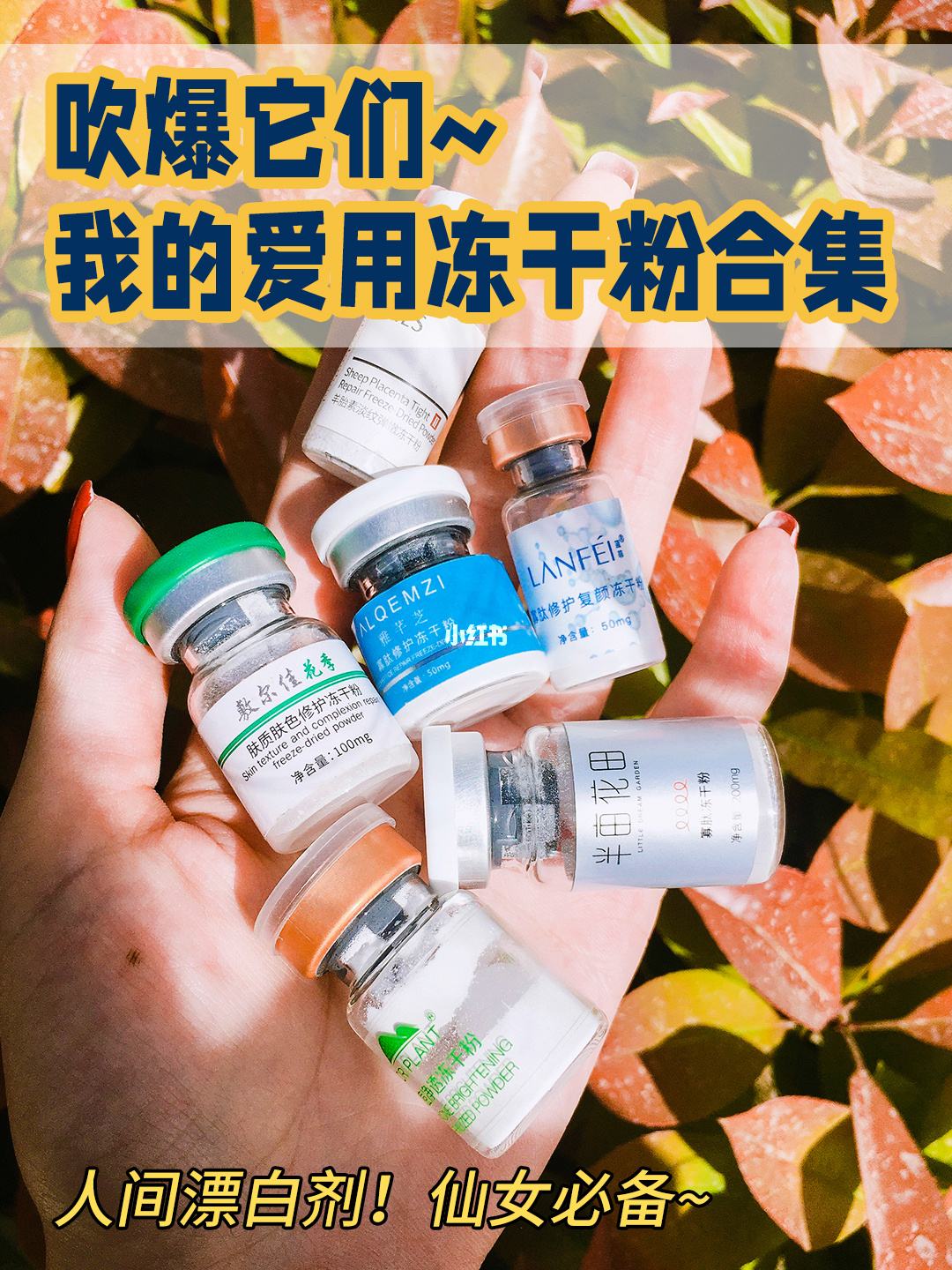 用了冻干粉为啥长痘了 用了冻干粉严重冒痘痘正常吗