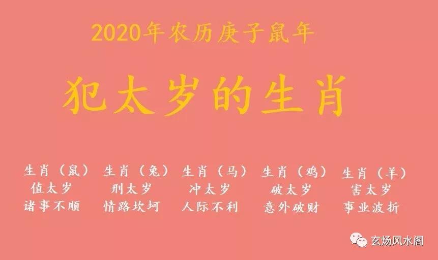 生肖配对表图片2020年 生肖配对表年份图片2021