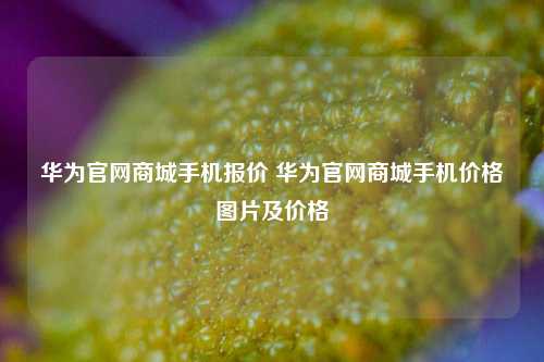 华为官网商城手机报价 华为官网商城手机价格图片及价格